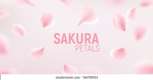 Pink sakura petals falling flower vector background. Romantic blossom sakura flower petals.