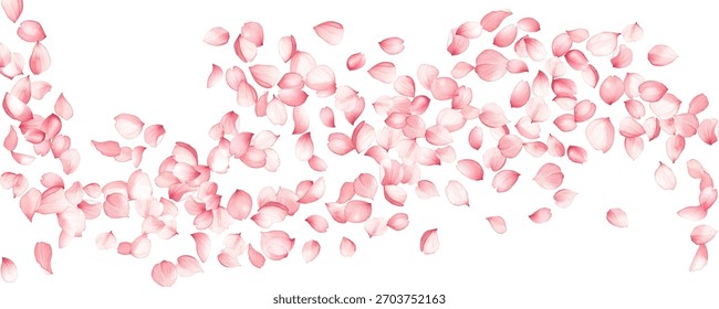 Rosa Sakura-Blütenblätter, die in horizontaler Welle auf weißem Hintergrund fallen. Zartes Kirschblüten-Streuelement für Hochzeit, Frühlingsdesign, Kosmetikverpackung.