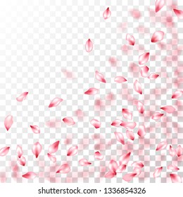 Pink sakura petals falling vector graphics. Spring tree bloom flower elements. Sakura flying petals isolated on transparent background. Anniversary elegant decor. Abstract spa showering backgound.