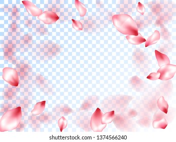 Pink sakura petals falling vector graphics. Romantic wedding decoration. Sakura flying petals isolated on transparent background. Spring tree blossom flower parts. Invitation card background.