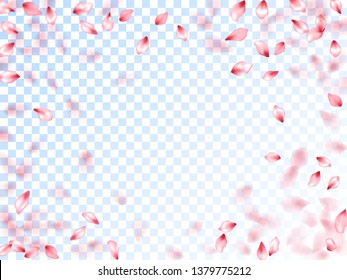 Pink sakura petals falling vector graphics. Spring tree bloom flower elements. Sakura flying petals isolated on transparent background. Romantic wedding decoration. Invitation card background.