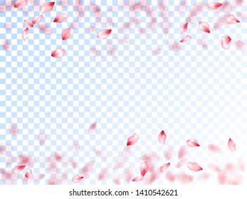 Pink sakura petals falling vector graphics. Blooming flower parts scatter. Sakura flying petals isolated on transparent background. Abstract spa showering backgound. Romantic wedding decoration.