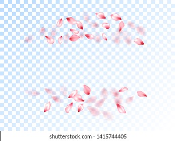 Pink sakura petals falling vector graphics. Spring tree blossom flower parts. Sakura flying petals isolated on transparent background. Anniversary elegant decor. Abstract spa showering backgound.