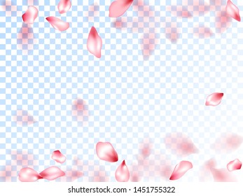 Pink sakura petals falling vector graphics. Abstract spa showering backgound. Sakura flying petals isolated on transparent background. Beautiful floral wallpaper. Blooming flower parts scatter.