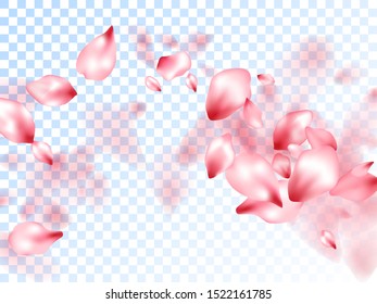 Pink sakura petals falling vector graphics. Blooming flower parts scatter. Sakura flying petals isolated on transparent background. Abstract spa showering backgound. Valentine card backdrop.