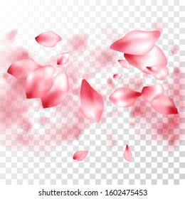 Pink sakura petals falling vector graphics. Abstract spa showering backgound. Sakura flying petals isolated on transparent background. Spring tree blossom flower parts. Romantic wedding decoration.