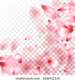 Pink sakura petals falling vector graphics. Abstract spa showering backgound. Sakura flying petals isolated on transparent background. Spring tree blossom flower parts. Romantic wedding decoration.