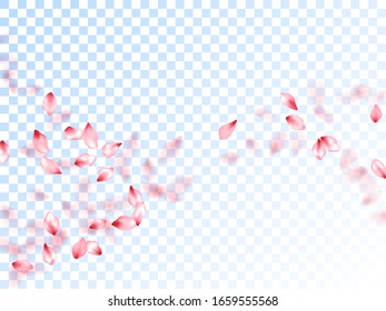 Pink sakura petals falling vector graphics. Blooming flower parts scatter. Sakura flying petals isolated on transparent background. Romantic wedding decoration. Abstract spa showering backgound.