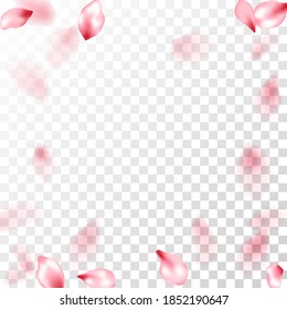 Pink sakura petals falling vector graphics. Anniversary elegant decor. Sakura flying petals isolated on transparent background. Spring tree blossom flower parts. Abstract spa showering backgound.