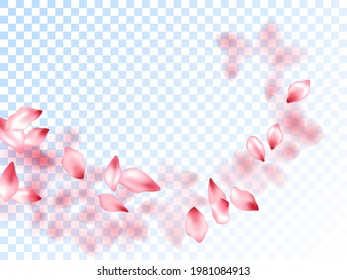 Rosa sakura Blätter fallen Vektorgrafiken. Einladungskartenhintergrund. Sakura fliegende Blütenblätter einzeln auf transparentem Hintergrund. Frühlingsbaum blüht Blumenteile. Valentinenkartenhintergrund.