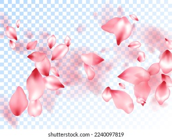 Rosa sakura Blätter fallen Vektorgrafiken. Romantische Hochzeitsdekoration. Sakura fliegende Blütenblätter einzeln auf transparentem Hintergrund. Einladungskartenhintergrund. Frühlingsbaum blüht Blumenteile.