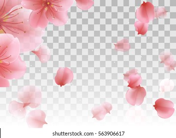 Pink sakura petals flying. Isolated vector EPS10 background for cosmetic design