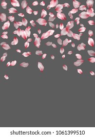 Pink sakura petals flying vector floral background. Spring falling flower parts confetti, blossom elements april design. Stylish flower blossom petals background design.