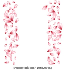 Pink sakura petals flying vector beauty salon background. Spring falling flower parts confetti, blossom elements floral design. Trendy flower blossom petals card vector background.