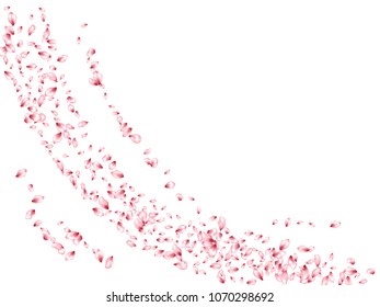 Pink sakura petals flying vector beauty salon background. Spring falling flower parts confetti, blossom elements celebration design. Natural flower blossom petals flyer vector background.