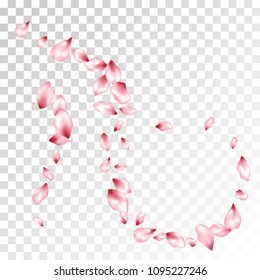 Pink sakura petals flying vector fashionable background. Spring falling flower parts confetti, blossom elements april design. Simple flower blossom petals banner vector background.