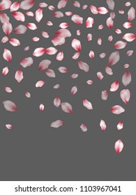 Pink sakura petals flying vector spa background. Spring falling flower parts confetti, blossom elements april design. Stylish flower blossom petals background vector.