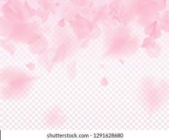 Pink sakura petals transparent background. A lot of falling petals 3D romantic valentines day illustration. Spring tender light backdrop. Translucent overlay tenderness romance design