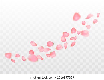 Pink sakura or rose falling petals