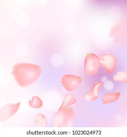 Pink sakura or rose falling petals