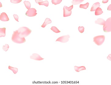 Pink sakura or rose falling petals