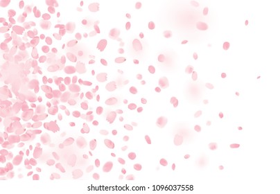 Pink Sakura Or Rose Flying Petals Vector Background. 3D Romantic Illustration.Pink Cherry Flower Parts Blossom Petals Flying Vector Elements Isolated On White Background. Illustration. Flying Flower