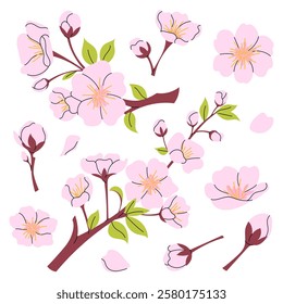 Pink sakura set, tree, twig, petal, flower and Japanese cherry blossoms. Illustrations for Hanami holiday. Vector spring botanical elements in flat style.