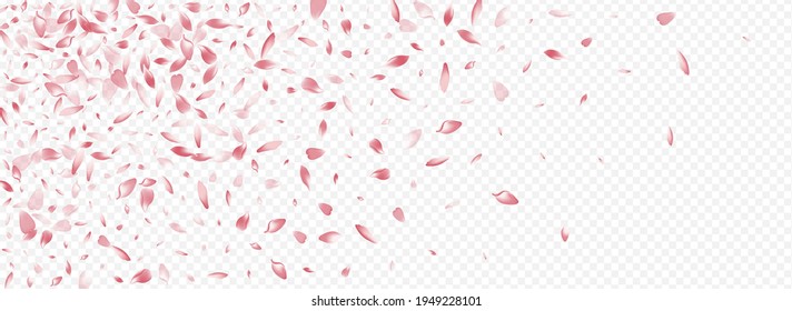 Pink Sakura Vector Panoramic Transparent Background. Lotus Graphic Design. Blooming Mother Cover. Apple Feminine Card. Bright Tree Romantic Backdrop.