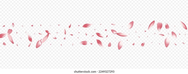 Pink Sakura Vector Panoramic Transparent Background. Rose Fly Card. Leaf Japanese Pattern. Apple Fall Congratulation. Light Floral Garden Template.