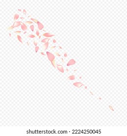 Pink Sakura Vector Transparent Background. Apple Spring Banner. Peach Springtime Poster. Rosa Air Design. Red Petal Isolated Illustration.