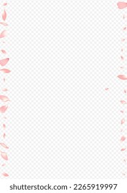 Pink Sakura Vector Transparent Background. Peach Rain Poster. Petal Spring Texture. Cherry Valentine Congratulation. Light Flower Fly Design.