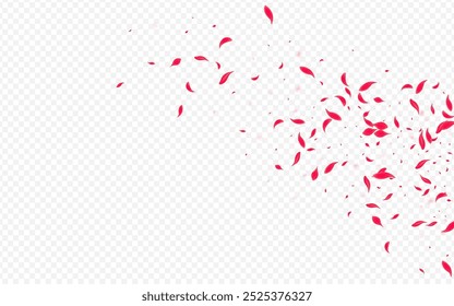 Pink Sakura Vector Transparent Background. Beauty Rose Poster. Delicate Flower Japan Cover. Beautiful Blur Floral Frame.