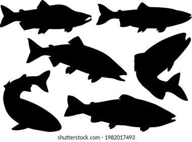 Pink salmon fish. Vector image.