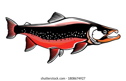 Pink salmon fishing  logo. Rainbow trout fish club emblem. Fishing theme illustration. Isolated on white.