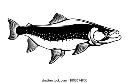 Pink salmon fishing  logo. Rainbow trout fish club emblem. Fishing theme illustration. Isolated on white.