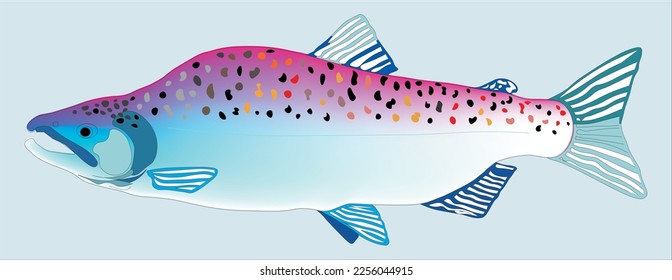 Pink Salmon on Neutral Fon