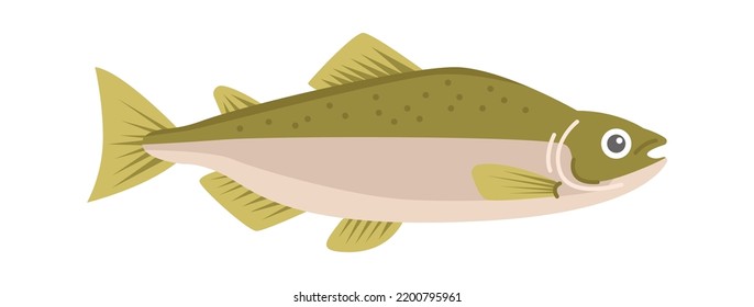 Pink salmon Sea Fish. Vector illustration