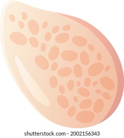 concha de vieiras rosadas. Clipart de playa, concepto de elemento oceánico. Ilustración vectorial de material aislada en fondo blanco en estilo de dibujos animados planos