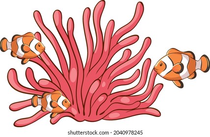 Pink sea coral with clownfishes on white background illustration