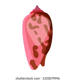 Pink sea shell  illustration. Mollusc, ocean, decoration. Nature concept. Vector illustration can be used for topics like ocean, sea, design, decoration