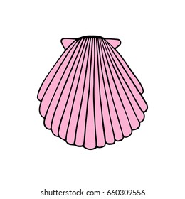Pink sea shell vector illustration doodle drawing, isolated on white background.