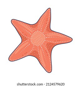 pink sealife starfish nautical icon