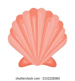 pink seashell design over white