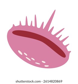 Pink seashell isolated white background. Hand drawn illustration.
