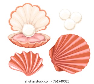 Pink seashell with pearl. Vector illustration isolated on white background. Website page and mobile app design