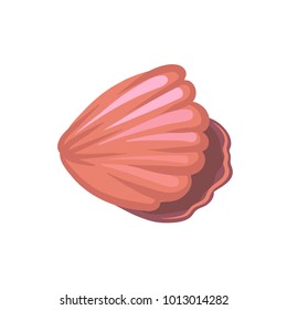 Pink seashell, underwater creature vector Illustration