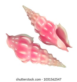 Pink seashells. Vector illustration. Under the sea. Underwater purple life. Mollusc.