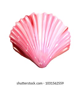 Pink seashells. Vector illustration. Under the sea. Underwater purple life. Mollusc.