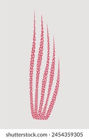 Pink seaweed isolated on light gray background.