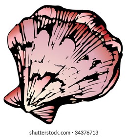 pink shell